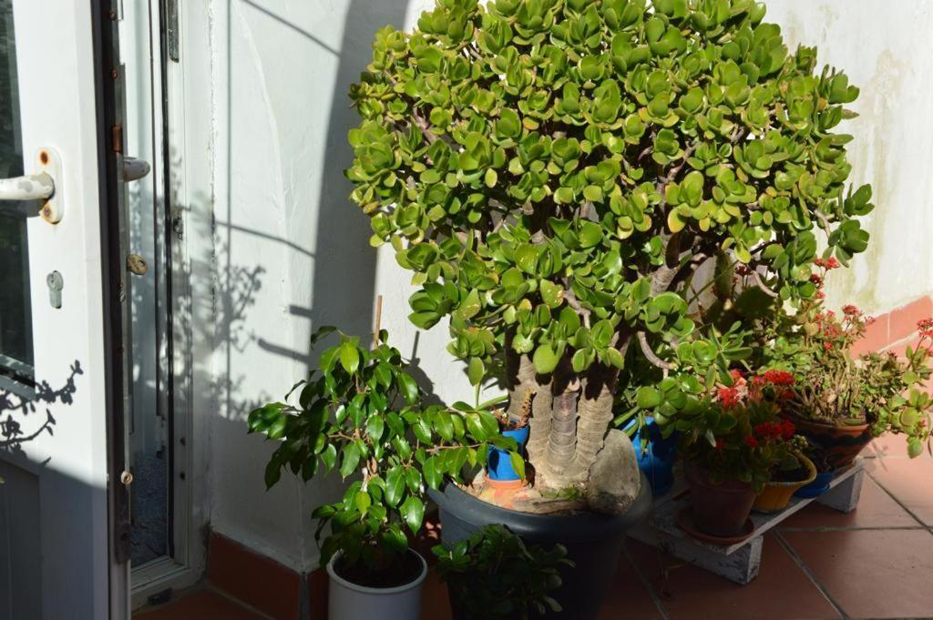 سيراكوزا B&B Spiraglio المظهر الخارجي الصورة